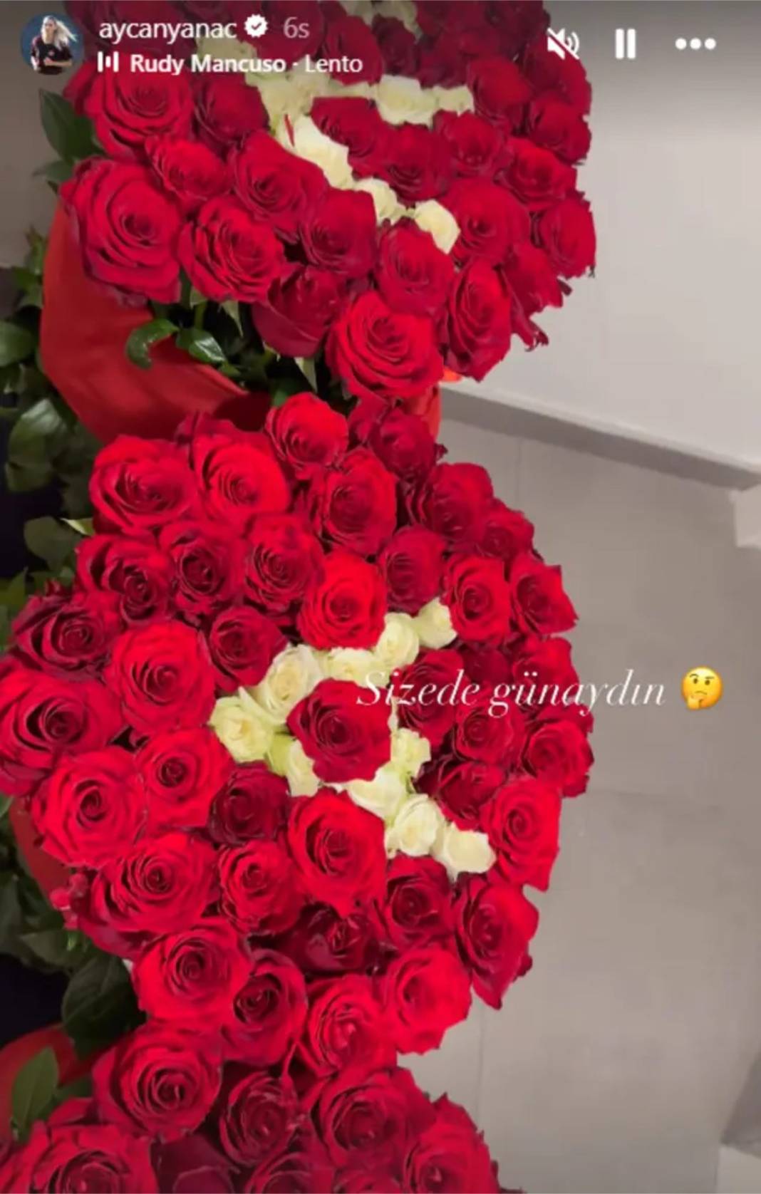 Sevgilisini aldatırken yakalamıştı! Aycan Yanaç o sevgilisiyle yeniden mi barıştı mı? Sosyal medyadan duyurdu 2